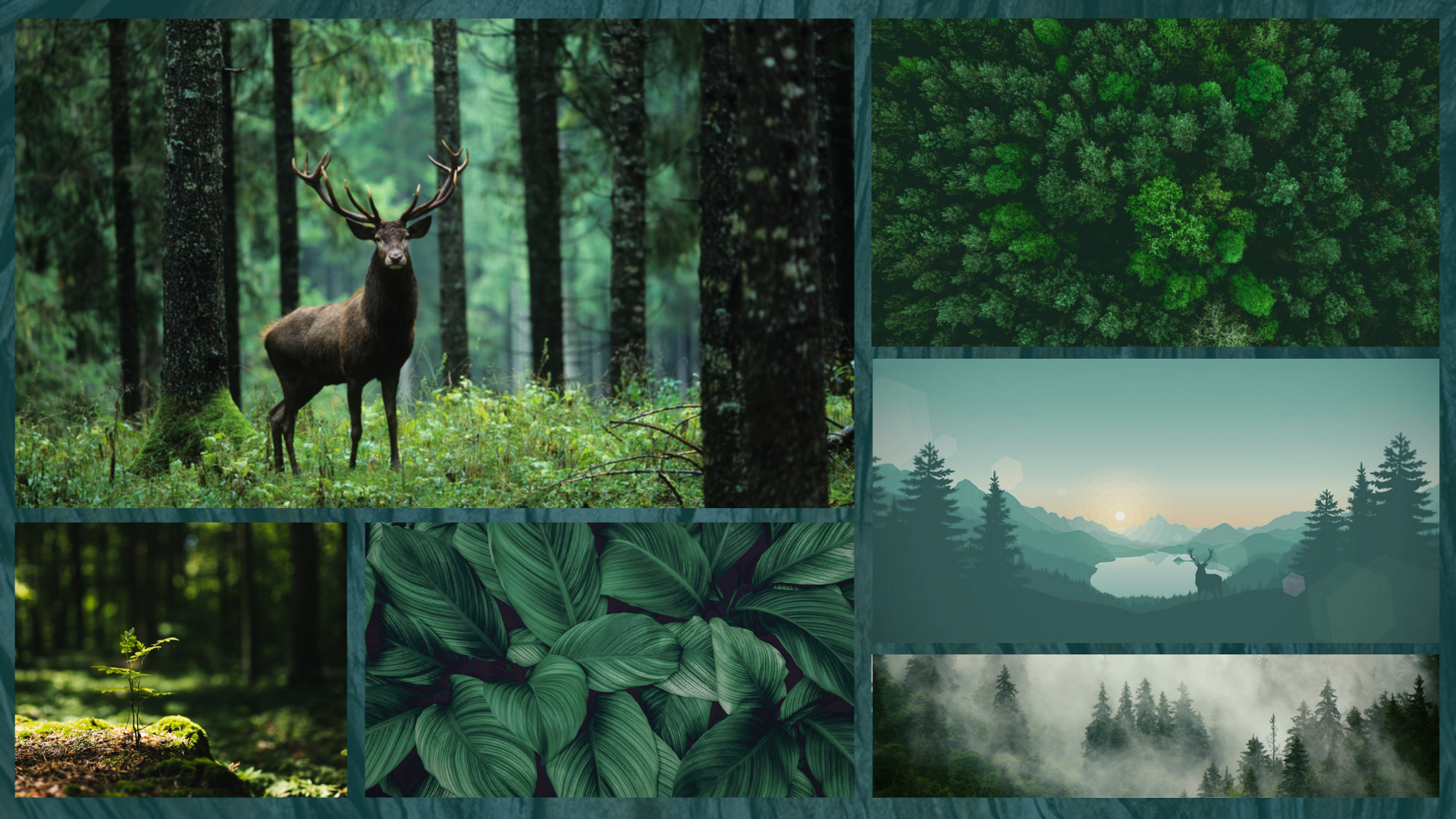 Moodboard